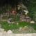 Appartamenti a Sutomore, apartman br.1, alloggi privati a Sutomore, Montenegro - 6